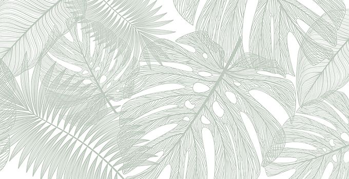 Palm leaves