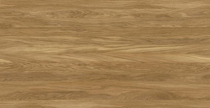 Tampa Oak