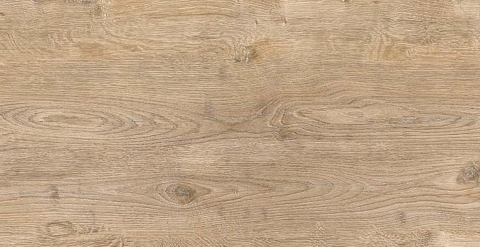 Tacoma Oak 8371