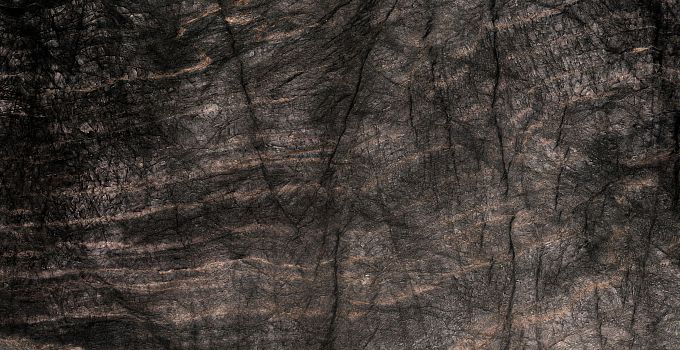 Black Quartzite 8113