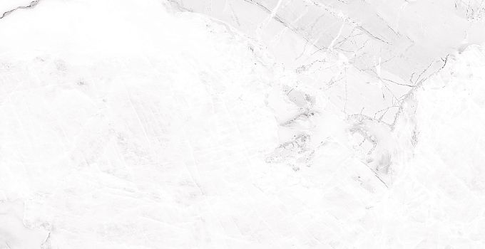 Calacatta Bianco 8251