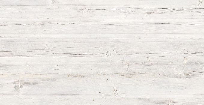 Lily Pine 8118