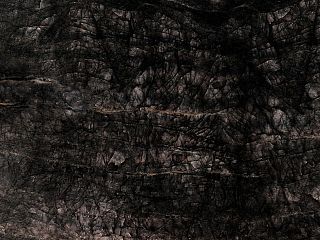 Black Quartzite 8113