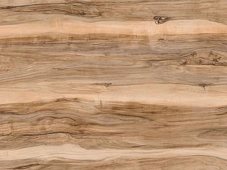 Indian Rosewood 3247