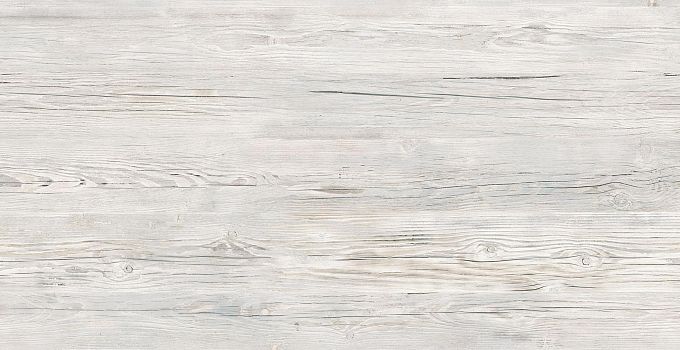 Icy Pine 8123
